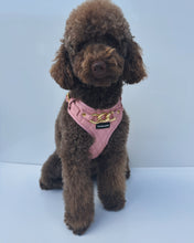Load image into Gallery viewer, SIGNATURE HARNESS - ROSE BLUSH
