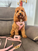 Load image into Gallery viewer, SIGNATURE HARNESS - ROSE BLUSH
