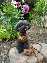 Load image into Gallery viewer, SIGNATURE HARNESS - BUTTERSCOTCH BLISS
