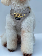 Load image into Gallery viewer, SIGNATURE HARNESS - PEBBLE CREME
