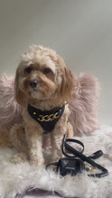 Load and play video in Gallery viewer, SIGNATURE HARNESS - MIDNIGHT ONYX
