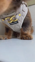 Load and play video in Gallery viewer, PEBBLE CREAM - COMPLETE SET
